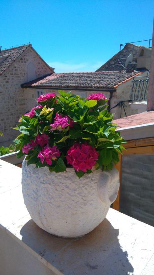 Old Town Hvar フヴァル エクステリア 写真